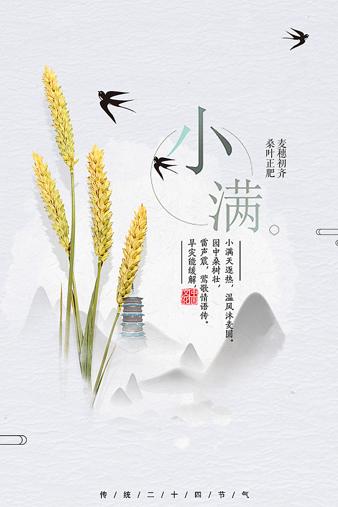 传统节气小满海报模板