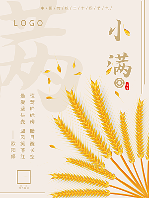 传统节气小满海报模板