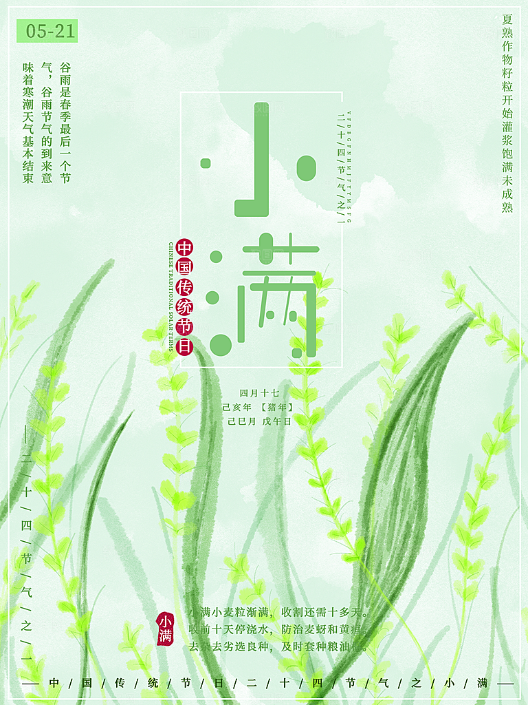 小满节气简约大气海报
