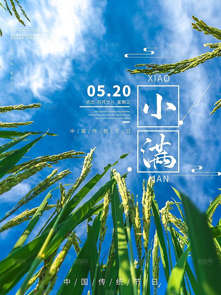 小满节气简约大气海报
