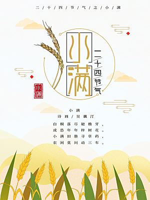 小满节气简约大气海报