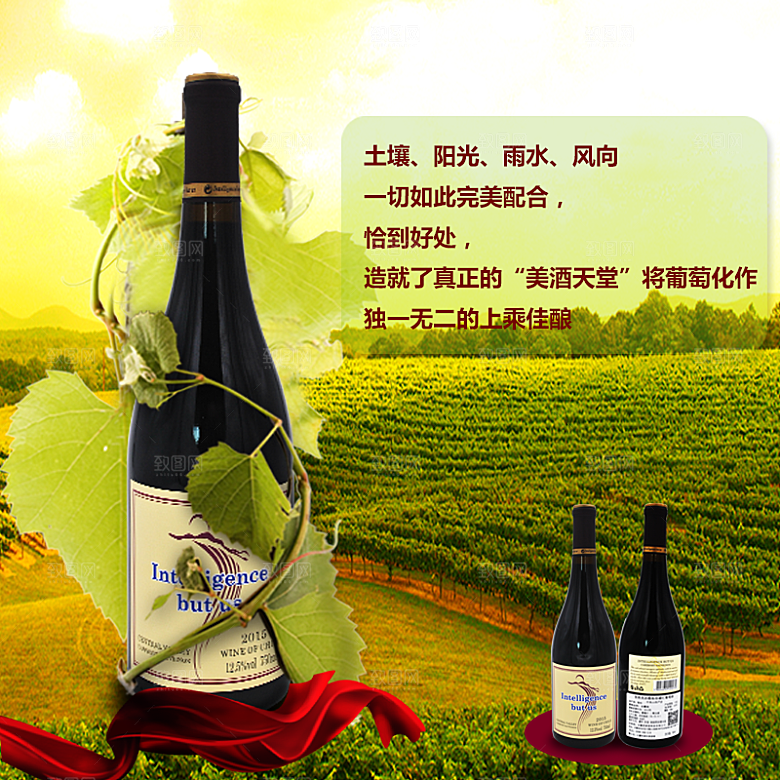 红酒主图设计素材