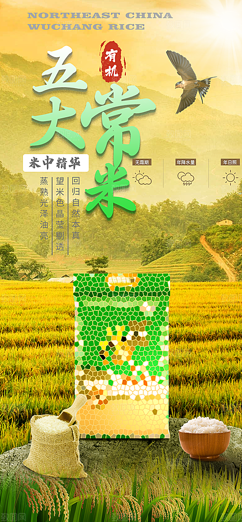 东北西北雪乡极光冰雕旅游宣传海报