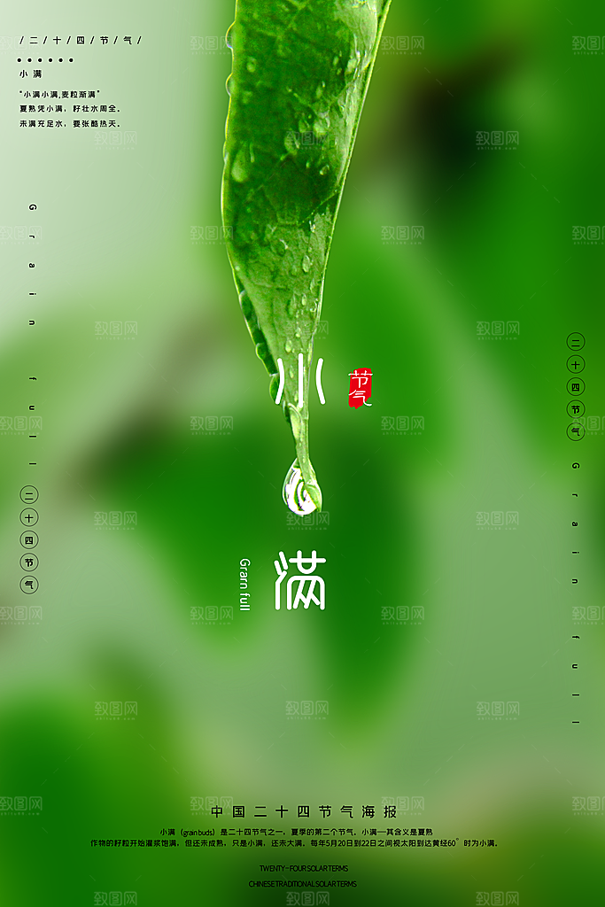 小满节气简约大气海报