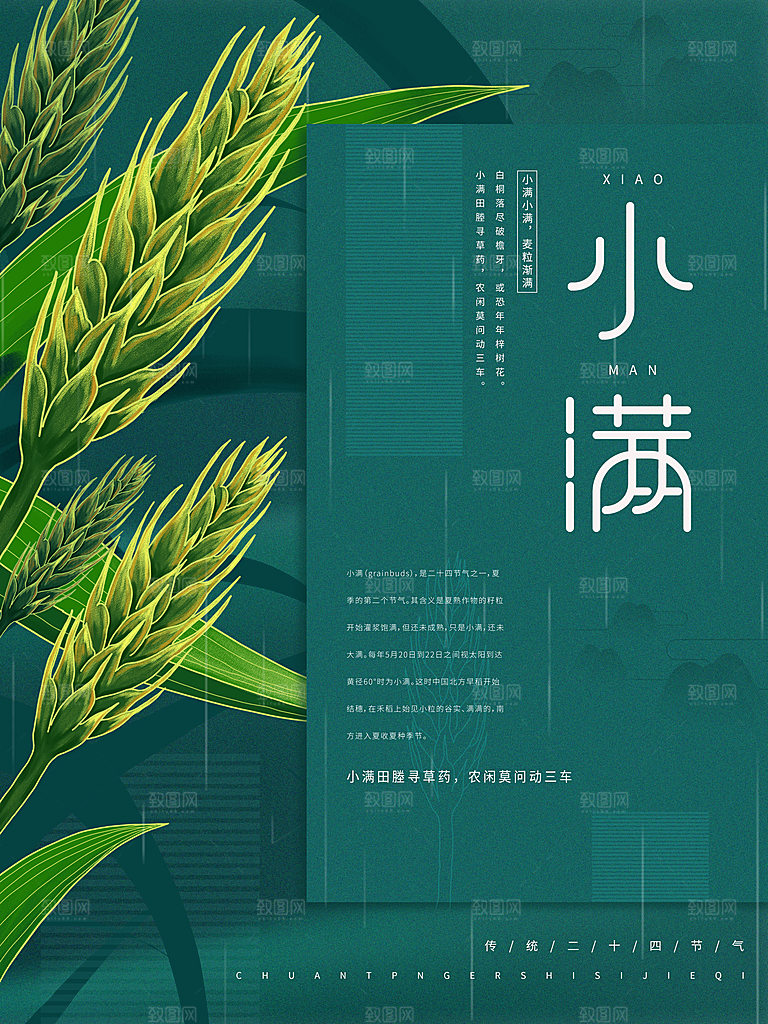 小满节气简约大气海报