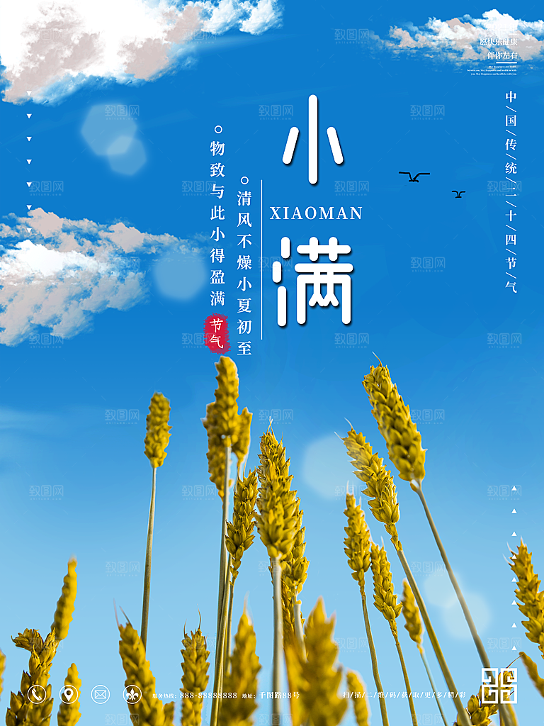 小满节气简约大气海报