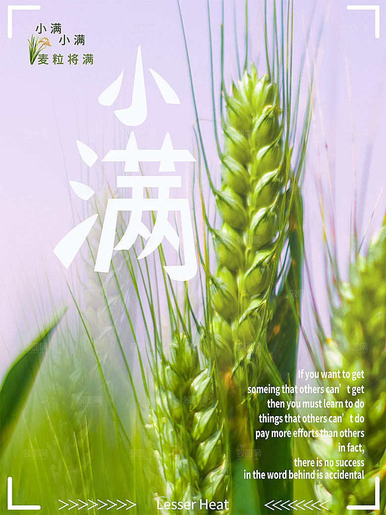 小满节气简约大气海报