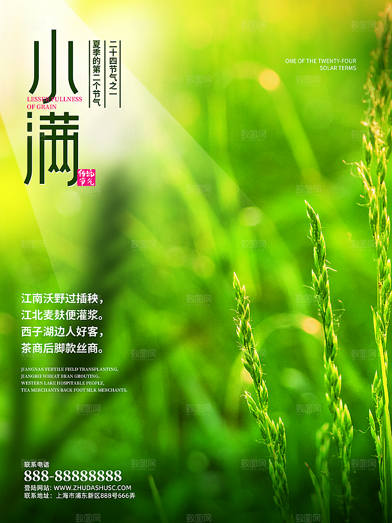 小满节气简约大气海报