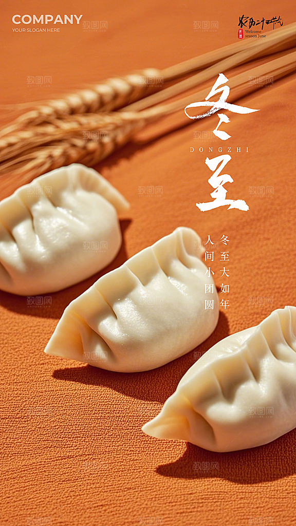 冬至插画节日简约大气唯美节气海报