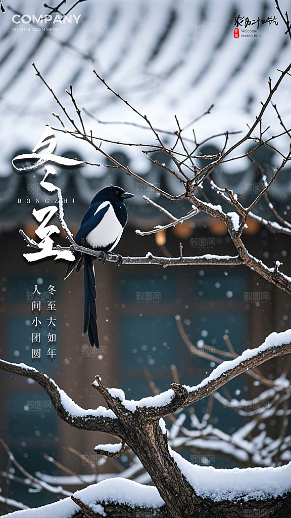 冬至节气唯美大气插画简约节日海报