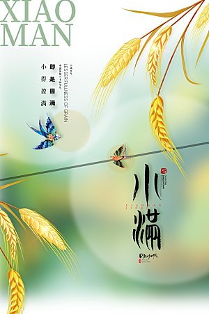 传统节气小满海报模板