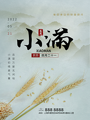 小满节气简约大气海报