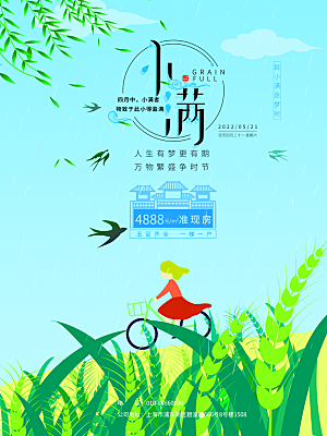 小满节气简约大气海报