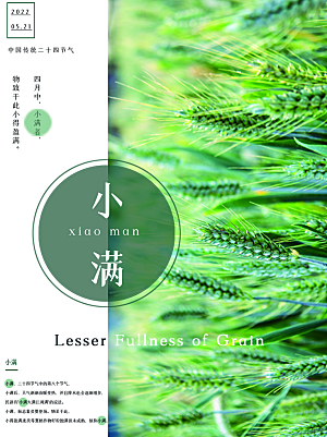 小满节气简约大气海报