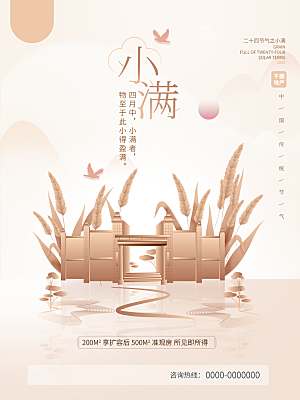 小满节气简约大气海报