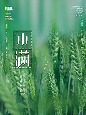 小满节气简约大气海报