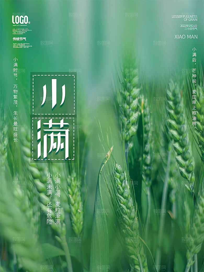 小满节气简约大气海报