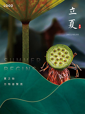 小满节气简约大气海报