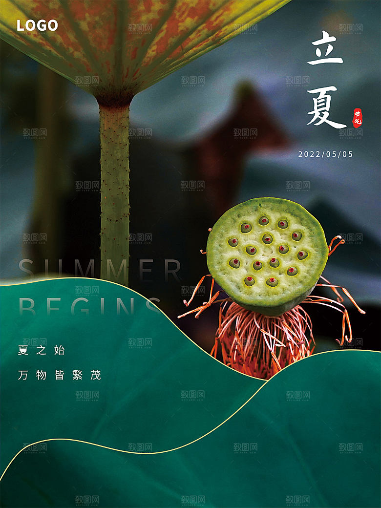 小满节气简约大气海报