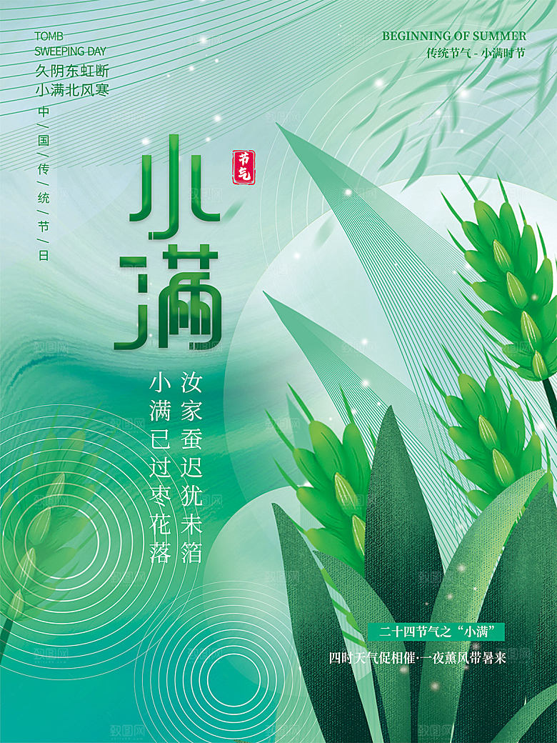 小满节气简约大气海报