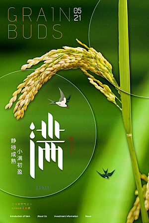传统节气小满海报模板