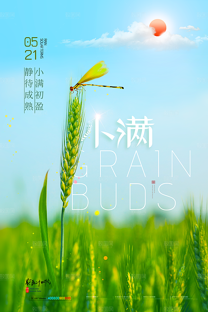 传统节气小满海报模板