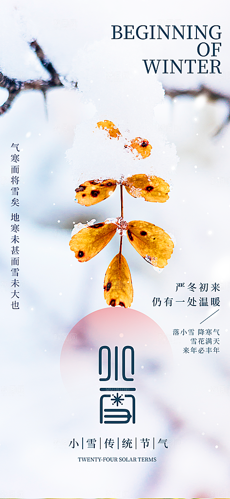 24节气小雪节日节庆海报模板