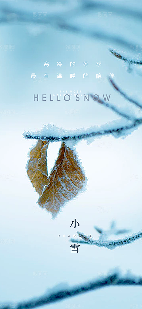 传统二十四节气小雪宣传活动海报