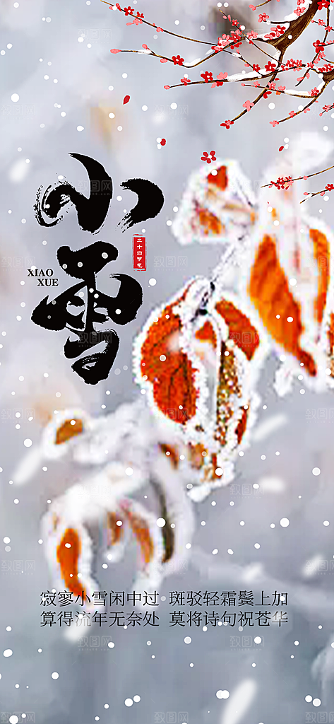 传统二十四节气小雪宣传活动海报