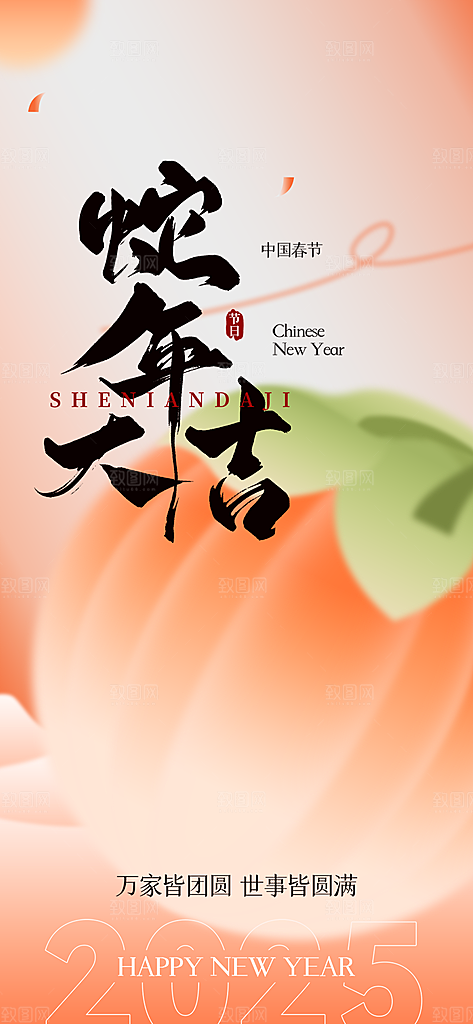 新年过年蛇年喜庆新春海报