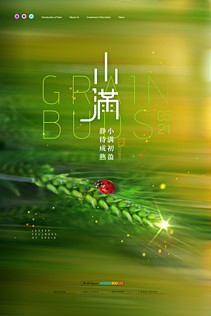 小满节气简约大气海报