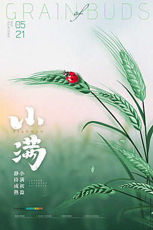 小满节气简约大气海报
