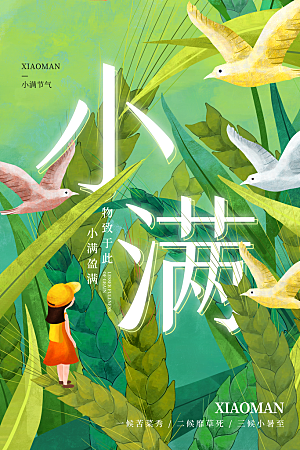 小满节气简约大气海报
