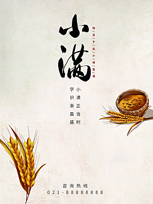 小满节气简约大气海报