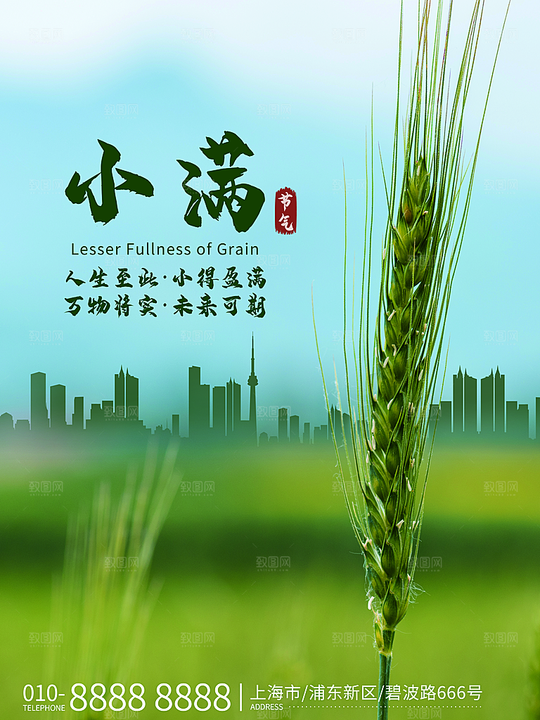 小满节气简约大气海报