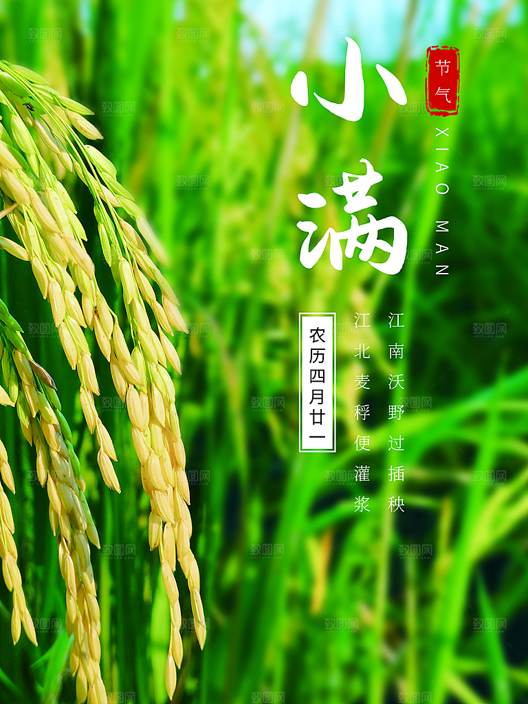 传统节气小满海报模板