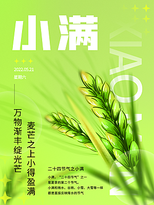 传统节气小满海报模板