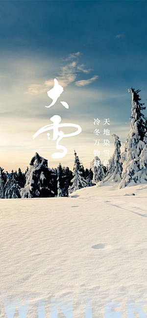 二十四节气大雪宣传活动海报