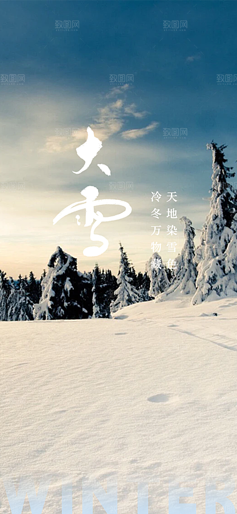 二十四节气大雪宣传活动海报