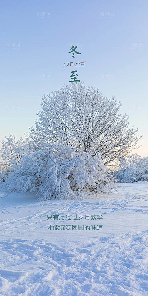 节气冬至宣传活动海报