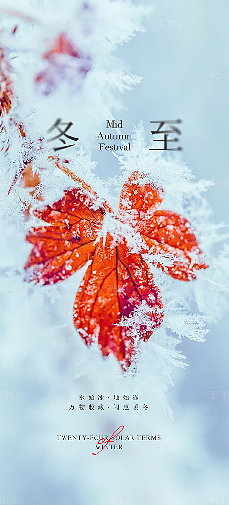 节气冬至宣传活动海报