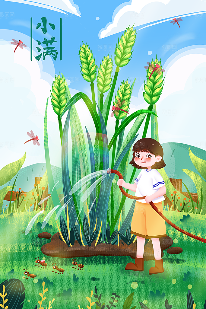 小满插画海报设计