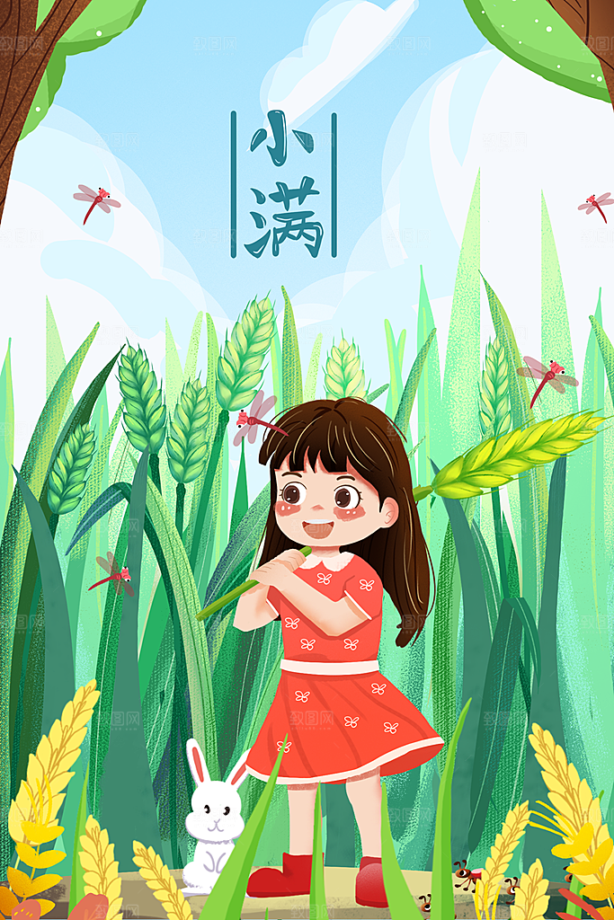 小满插画海报设计素材