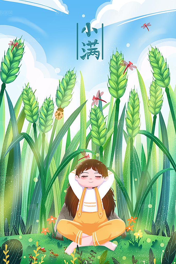 小满插画海报设计素材