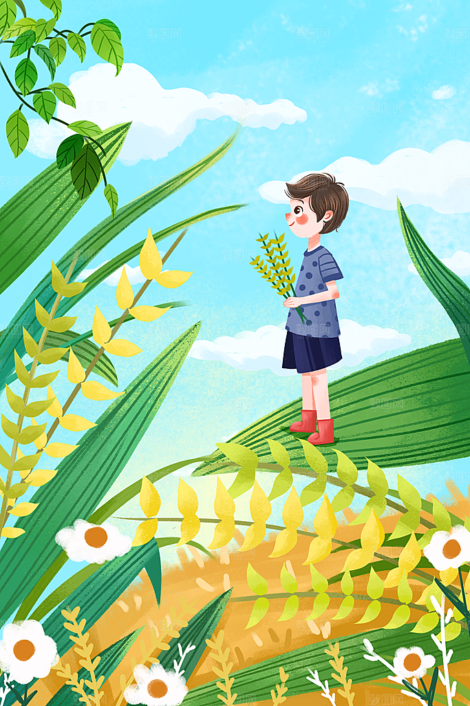 小满插画海报设计素材