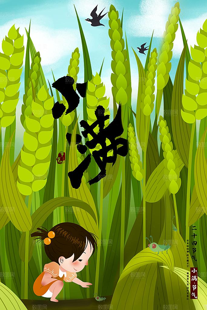 小满插画海报设计