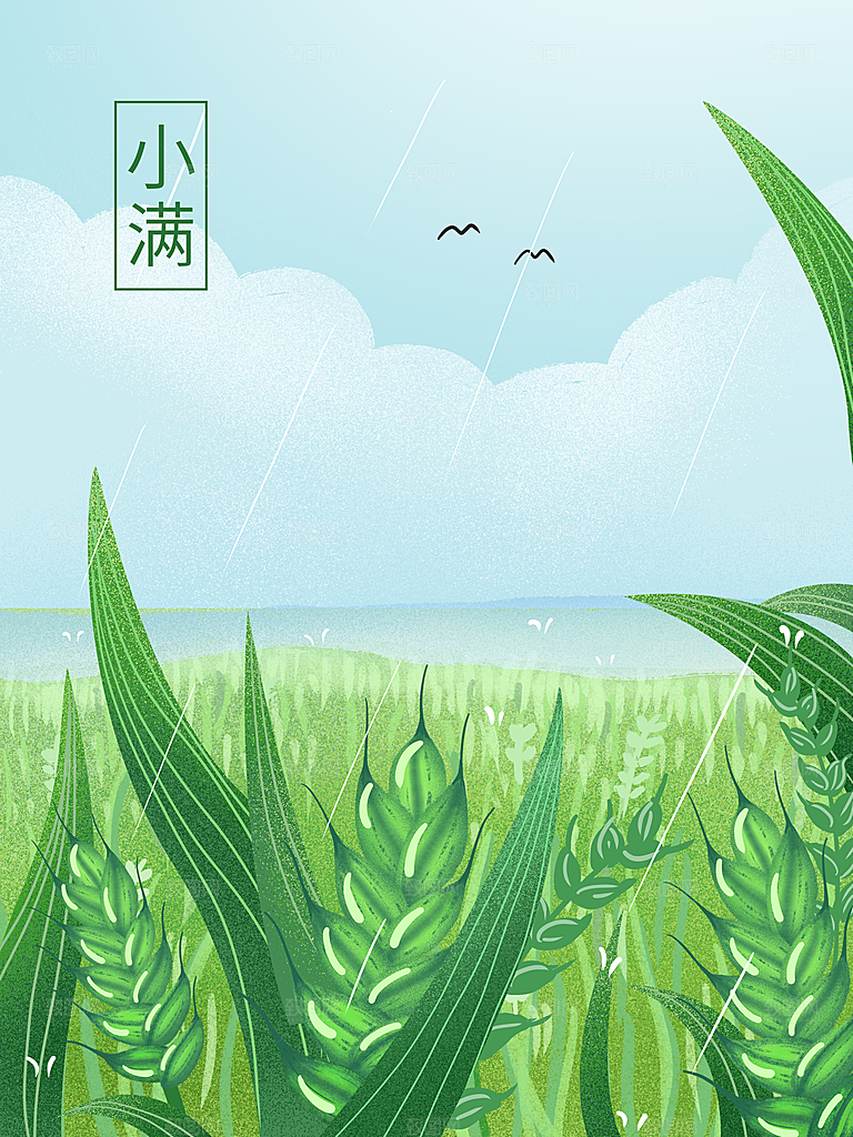 小满插画海报设计