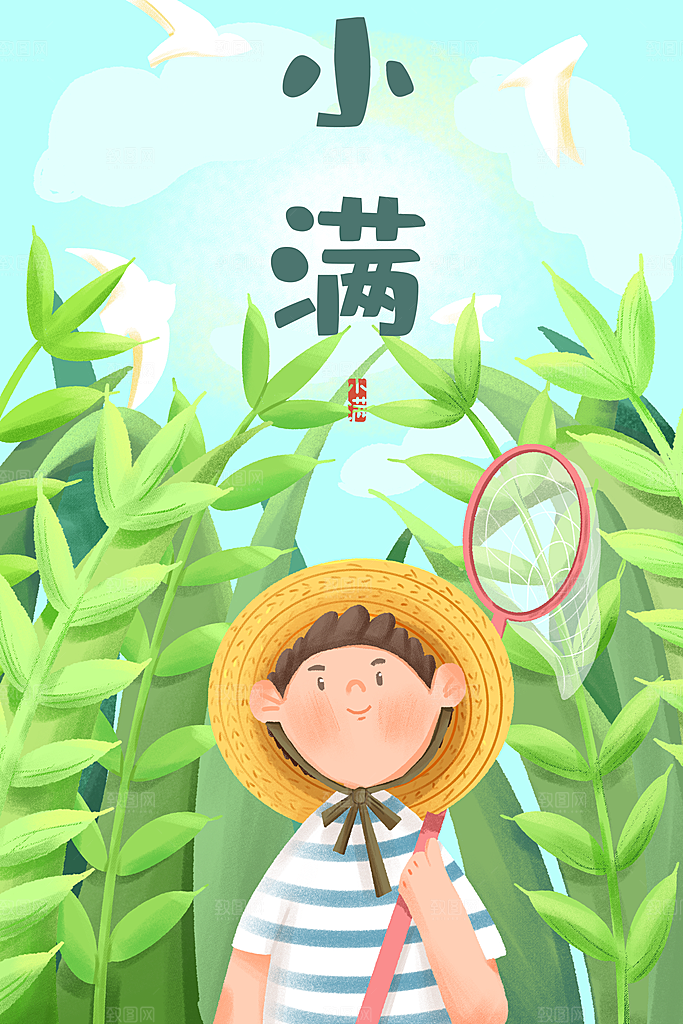 小满插画海报设计素材