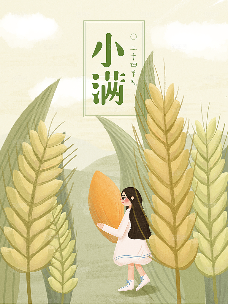 小满插画海报设计素材