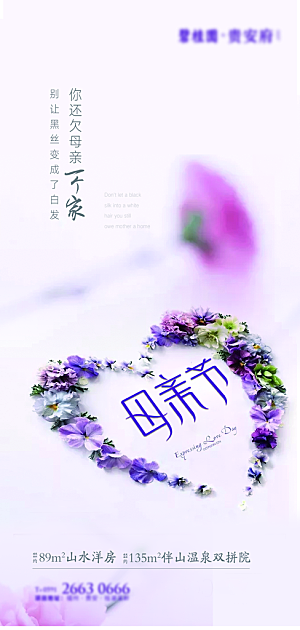 传统节日母亲节海报模版